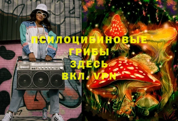 прущий лед Белокуриха