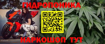 крисы Донецк