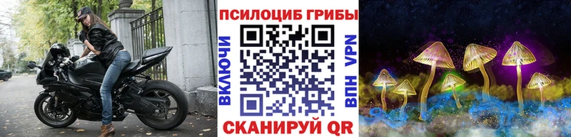 магазин MEGA ONION Псилоцибиновые грибы мицелий Гулькевичи