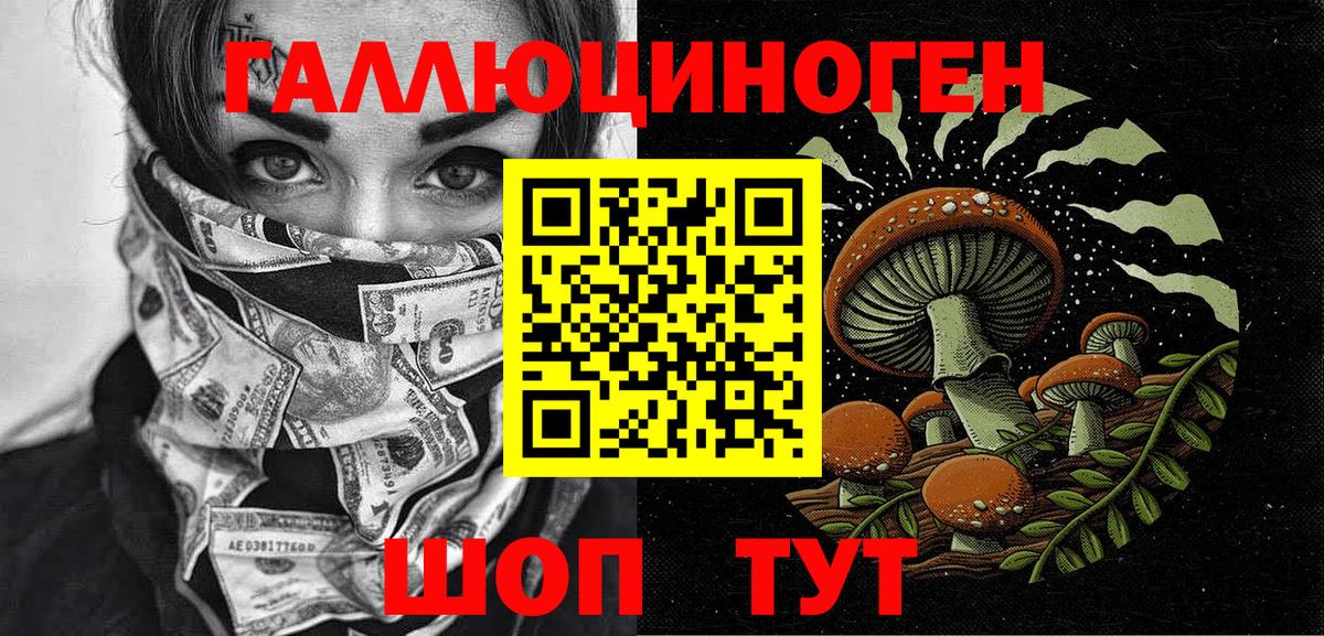 Галлюциногенные грибы Cubensis Гулькевичи